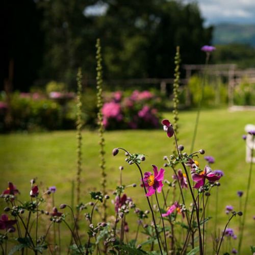 Flower Garden Longueville House