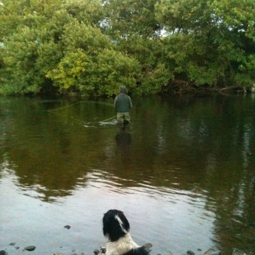 Fishing The Castle Pool at Longueville House