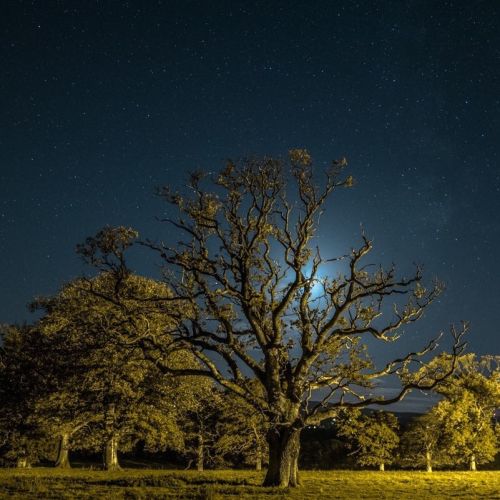 Longueville House under the stars