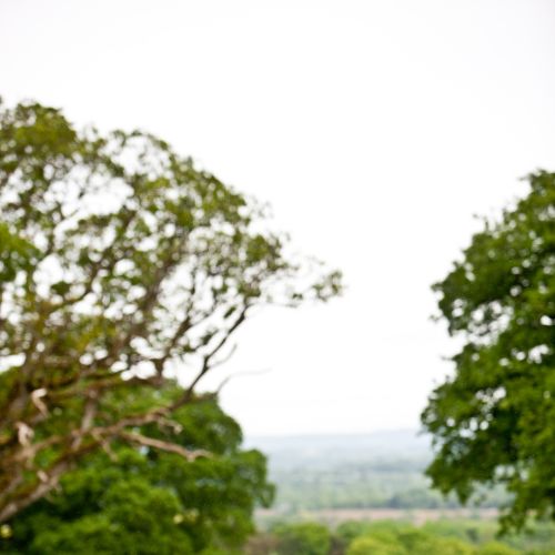 Table with a View Longueville House