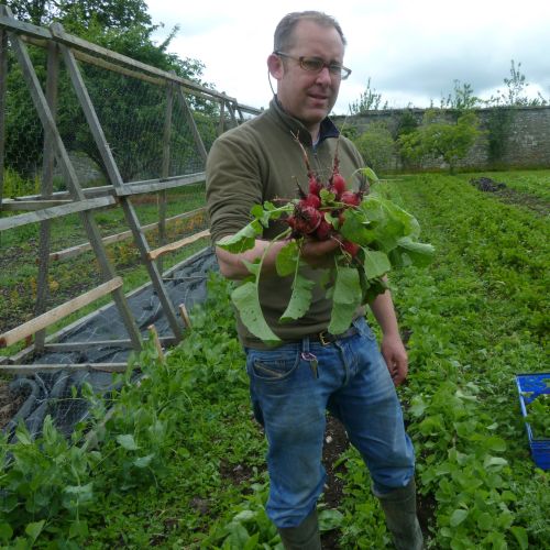 William in Walled Kitchen Garden at Longueville House 