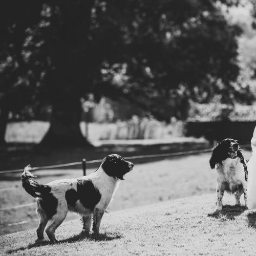 Flower Girls Longueville House
