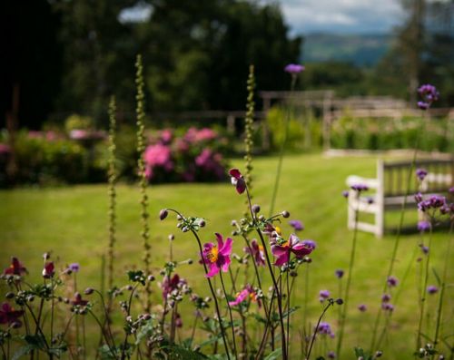 Flower Garden Longueville House