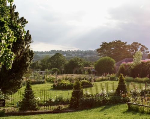 Vineyard & Flower Garden