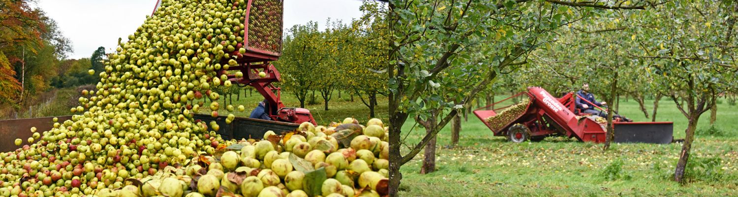 harvesting-slider