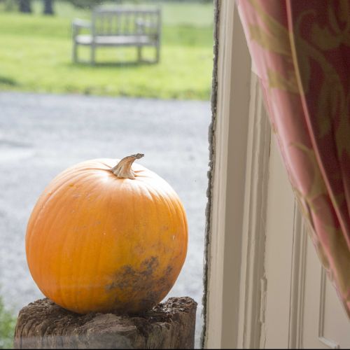 Halloween Pumpkin 