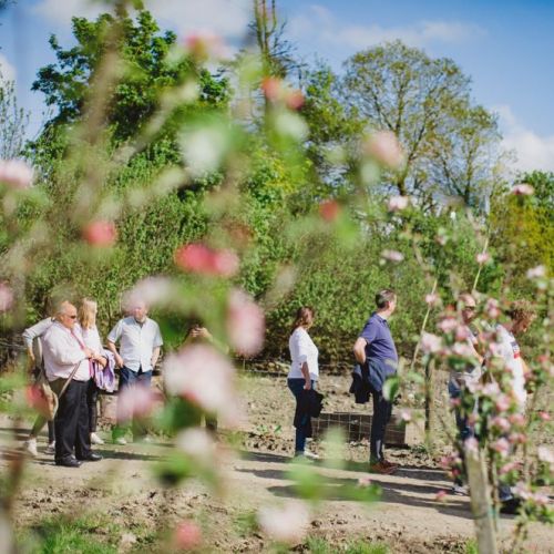 Orchard Tours