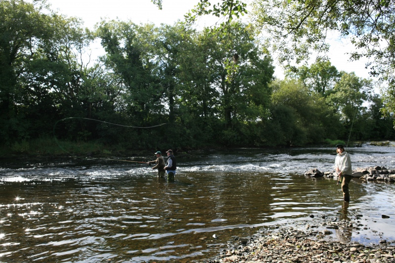 fly fishing tuition