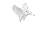 Longueville House Footer Logo